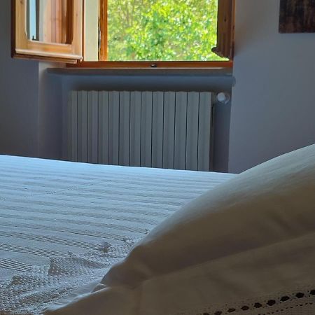 Bed And Breakfast Country Hill Arezzo Exterior foto