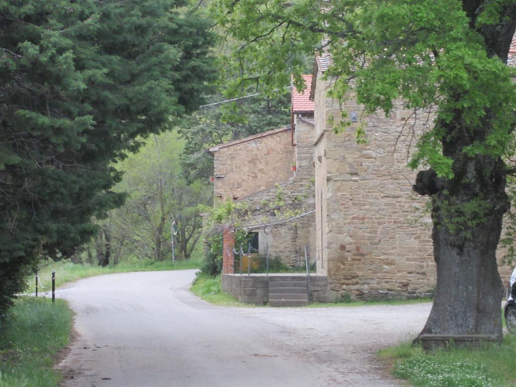 Bed And Breakfast Country Hill Arezzo Exterior foto