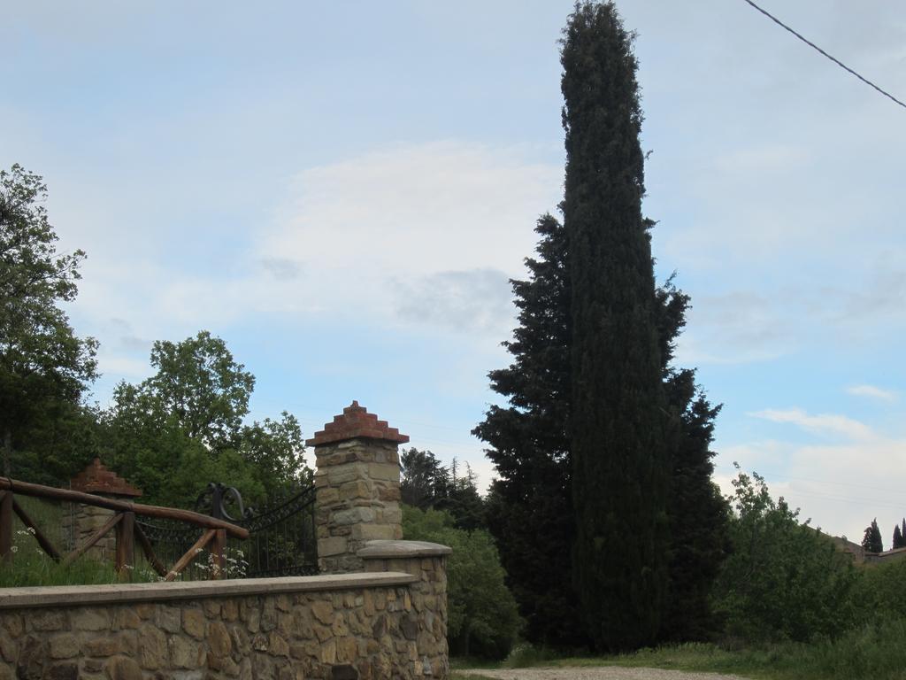 Bed And Breakfast Country Hill Arezzo Exterior foto