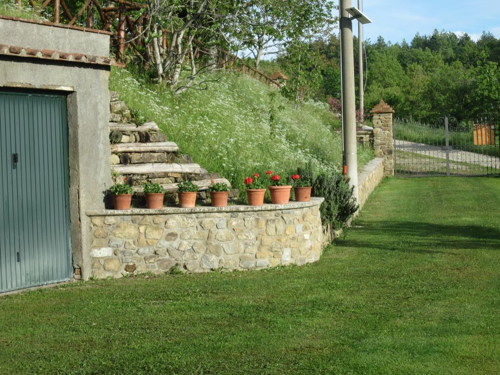 Bed And Breakfast Country Hill Arezzo Exterior foto