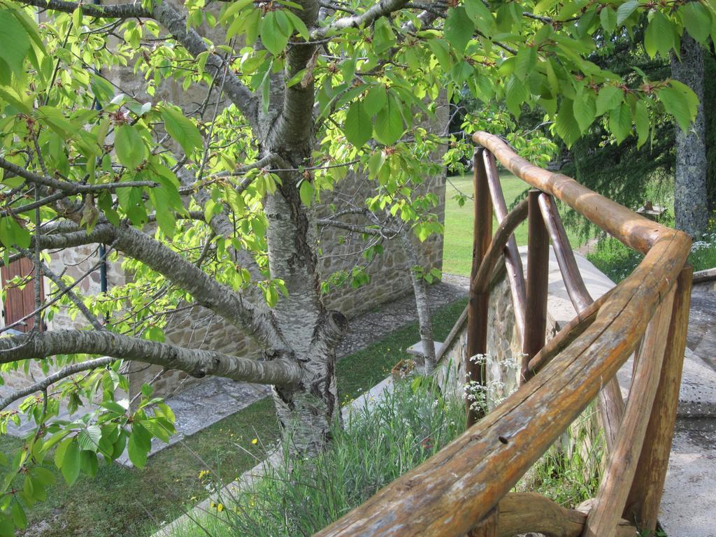 Bed And Breakfast Country Hill Arezzo Exterior foto