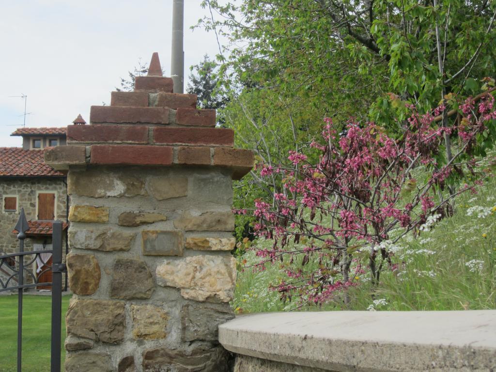 Bed And Breakfast Country Hill Arezzo Exterior foto