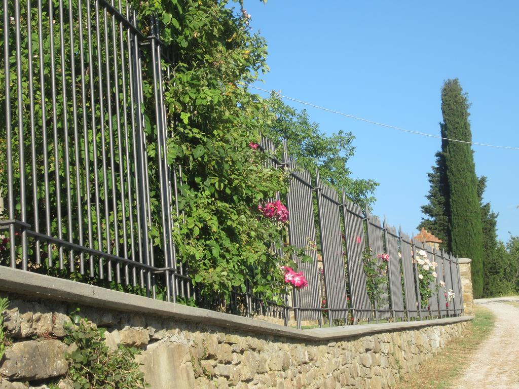 Bed And Breakfast Country Hill Arezzo Exterior foto
