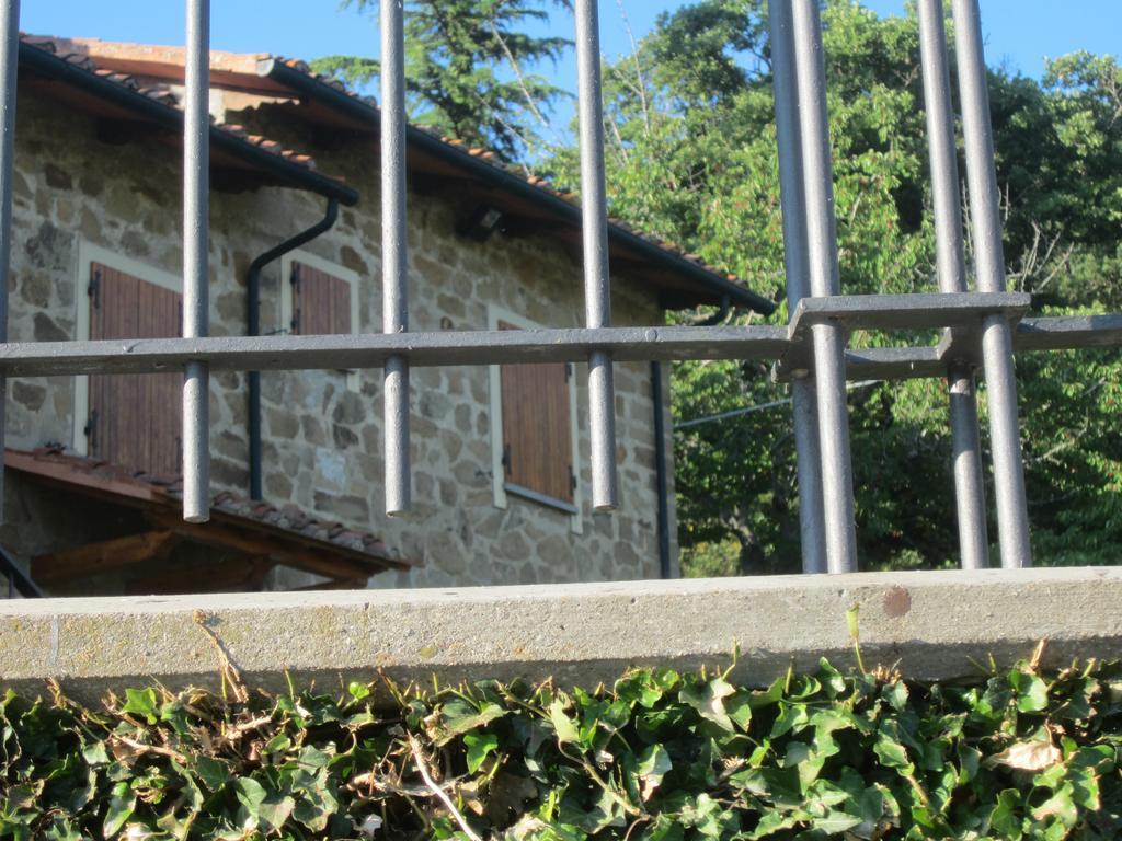 Bed And Breakfast Country Hill Arezzo Exterior foto